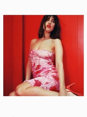 Rouje Paris Anaia dress NWOT